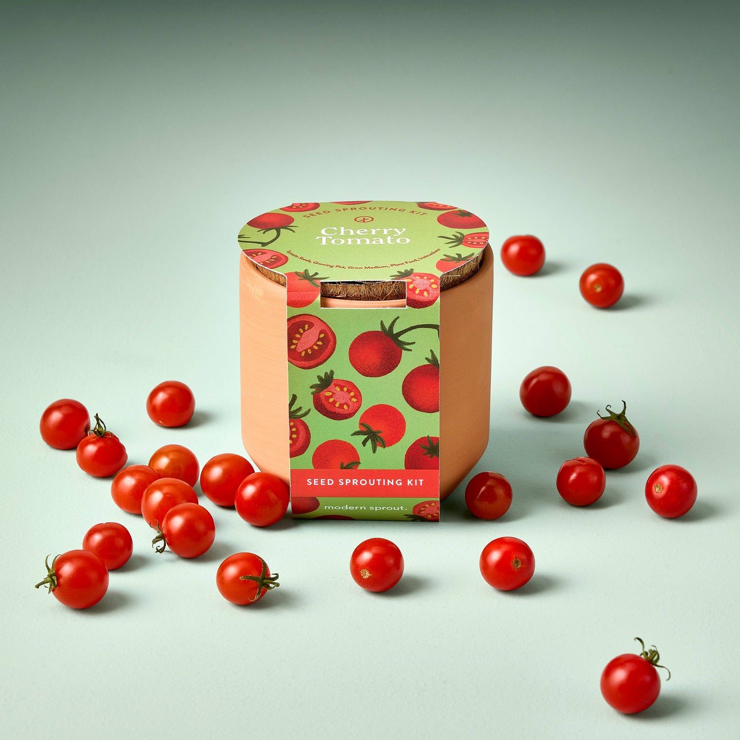 Tiny Terracotta Seed Sprouting Kit