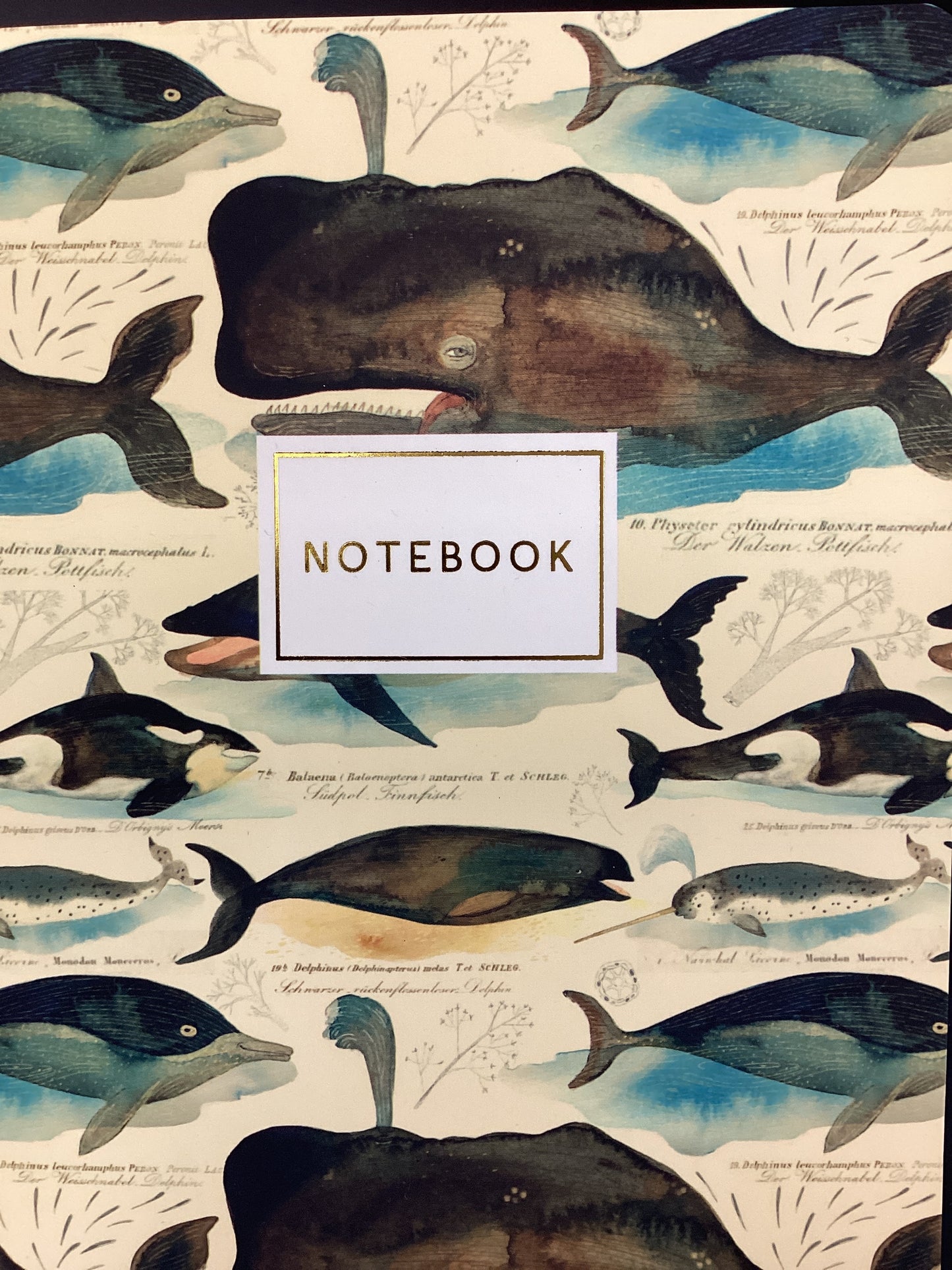 Notebook