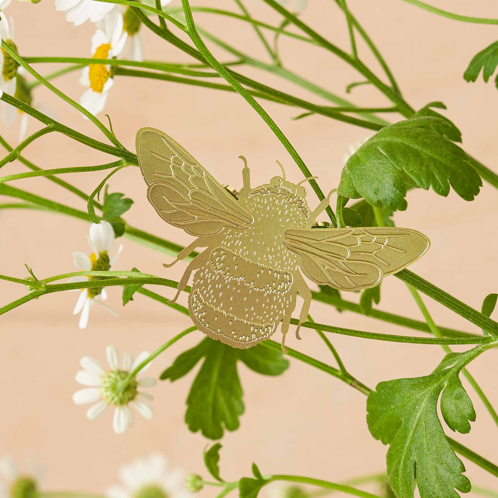 Hanging Plant Animals