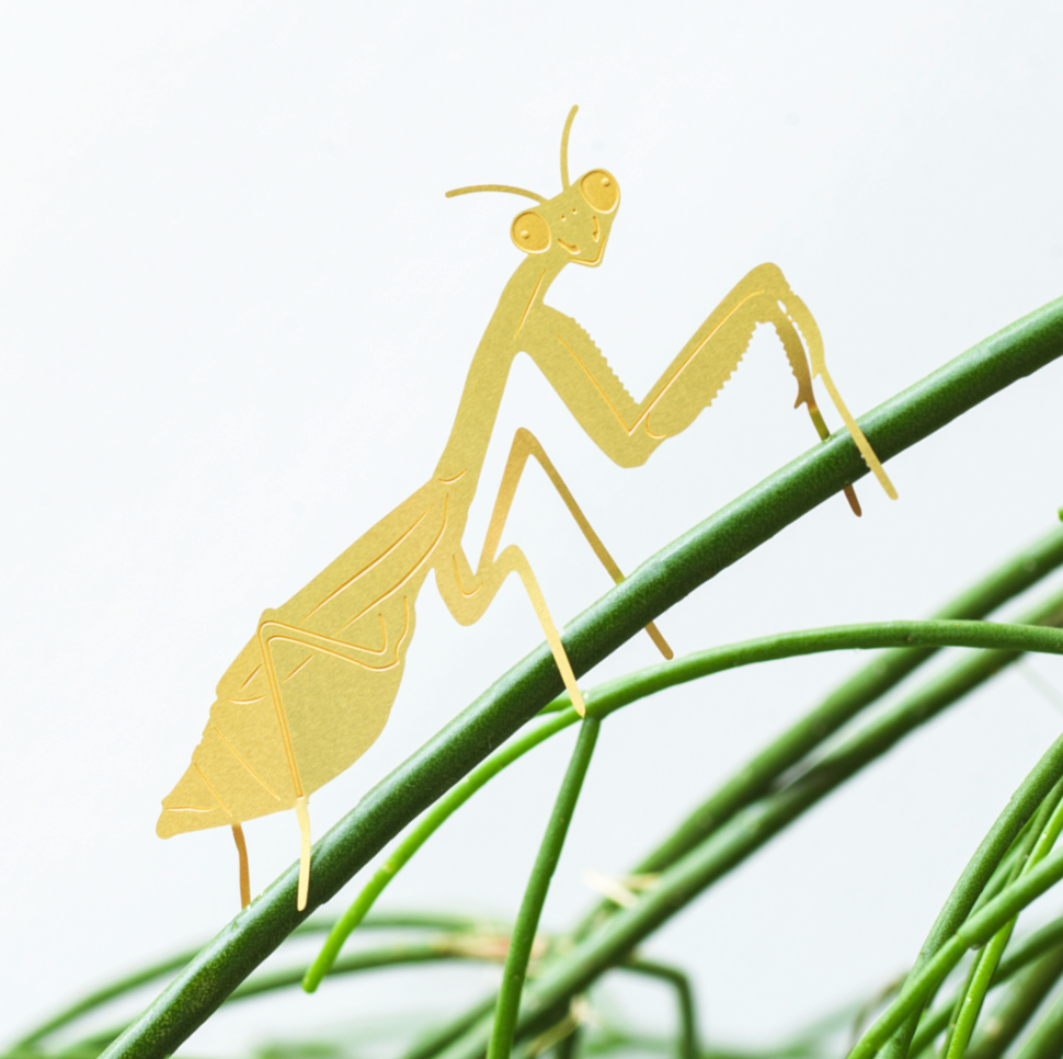 Hanging Plant Animals