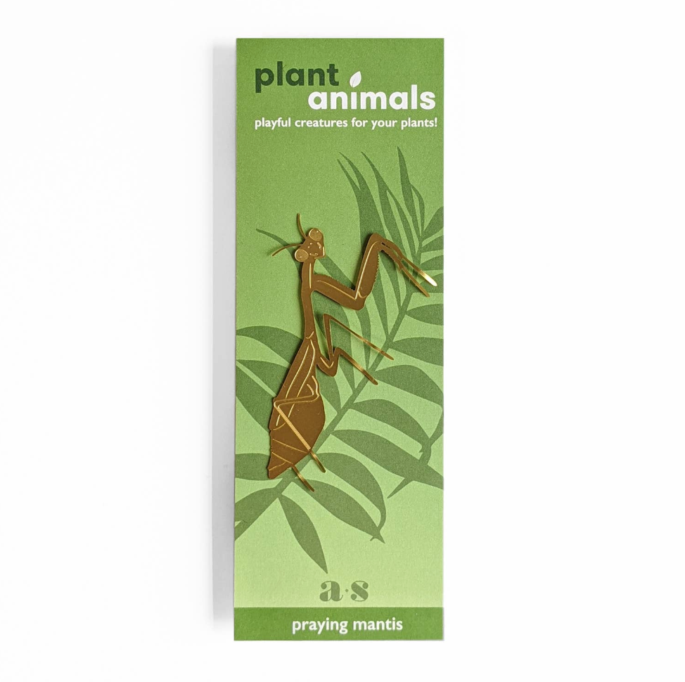 Hanging Plant Animals