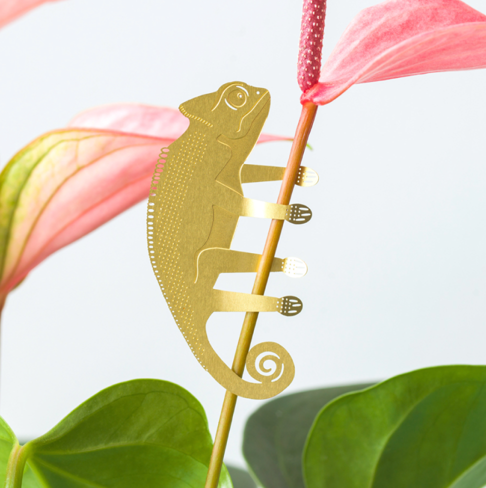 Hanging Plant Animals