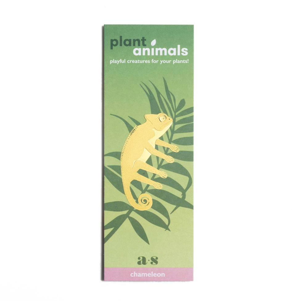 Hanging Plant Animals