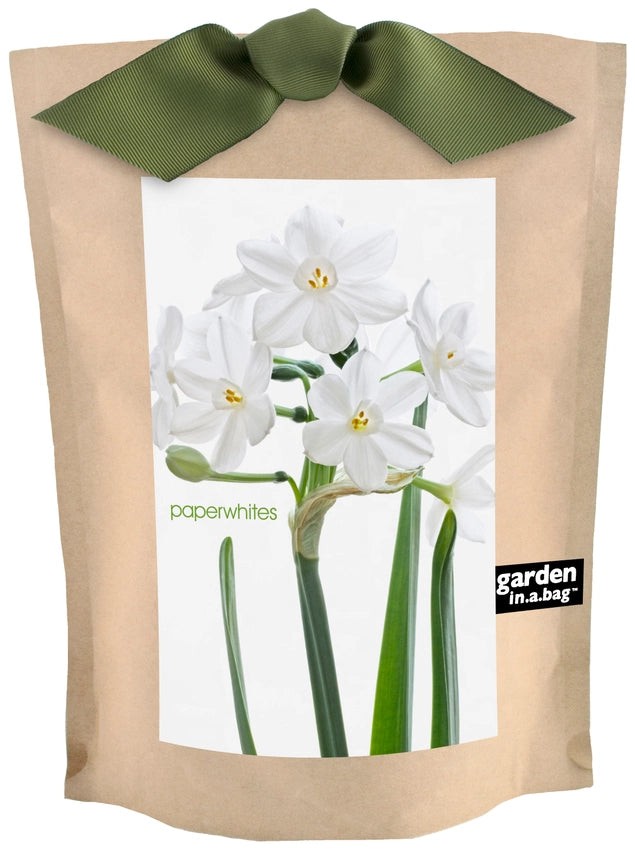 Garden in a Bag