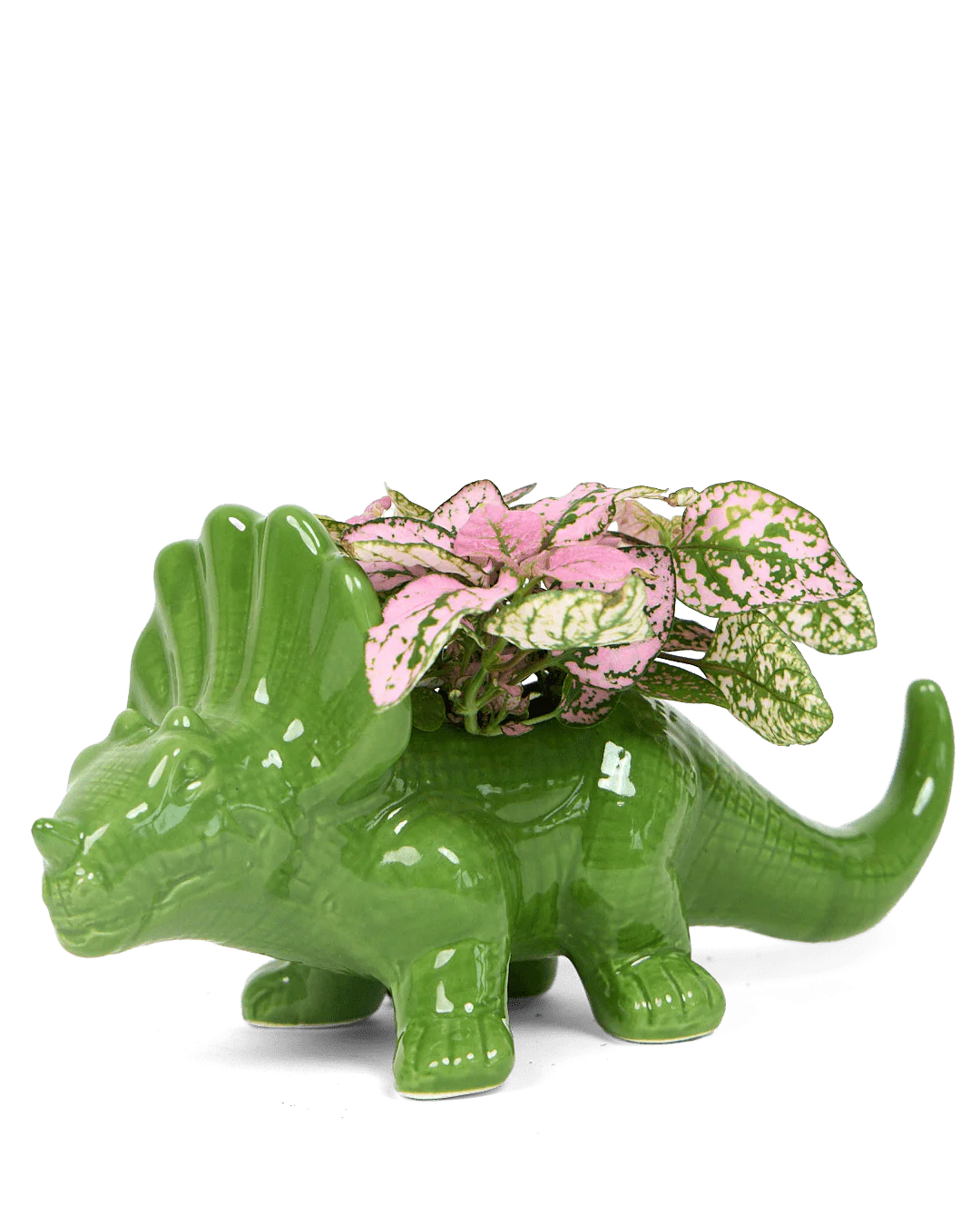 Dinosaur Succulent Planters