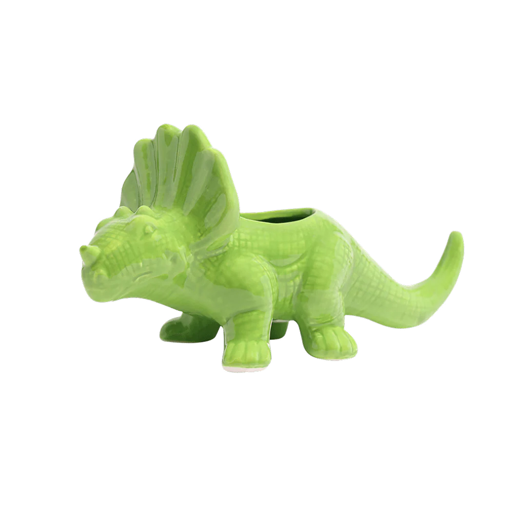 Dinosaur Succulent Planters