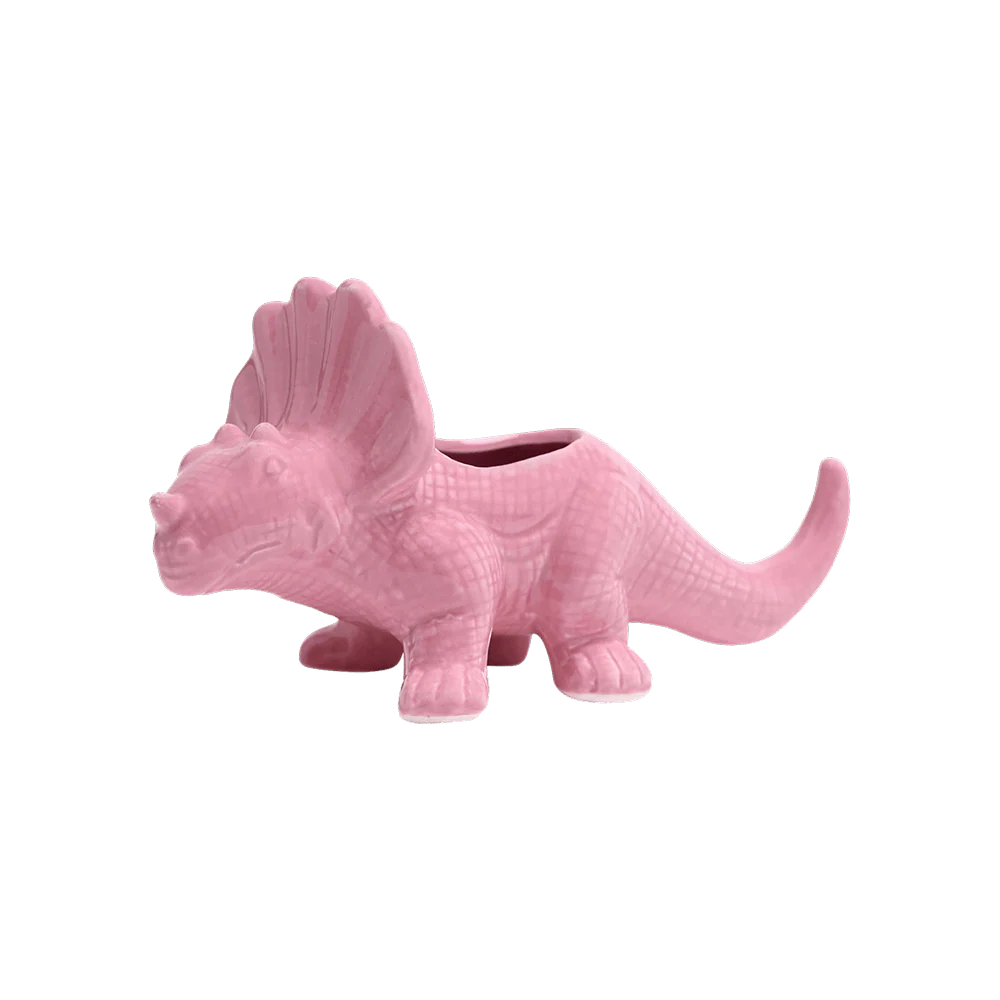 Dinosaur Succulent Planters