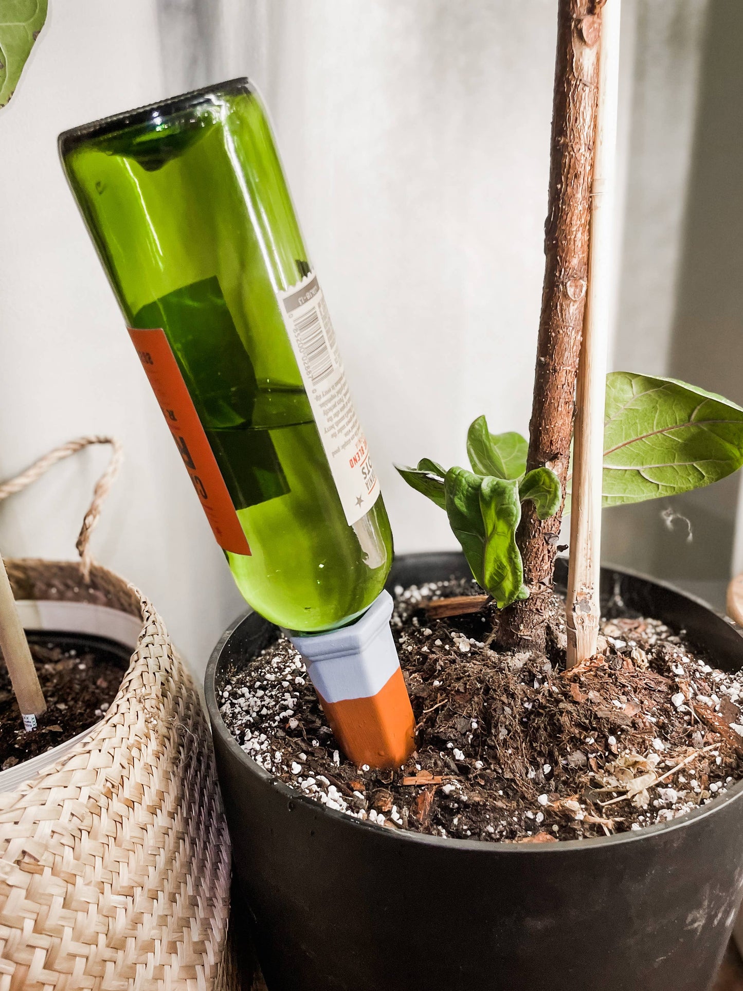Terracotta Self-Watering Plant Spikes