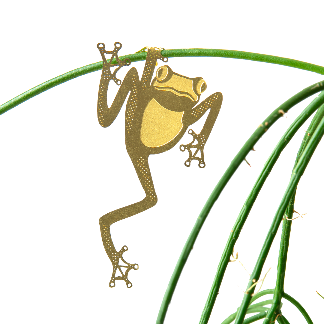 Hanging Plant Animals