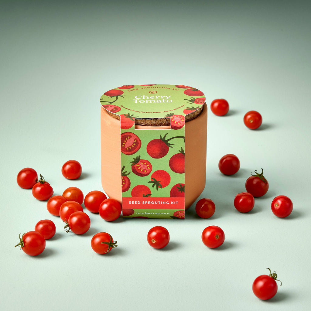 Tiny Terracotta Seed Sprouting Kit