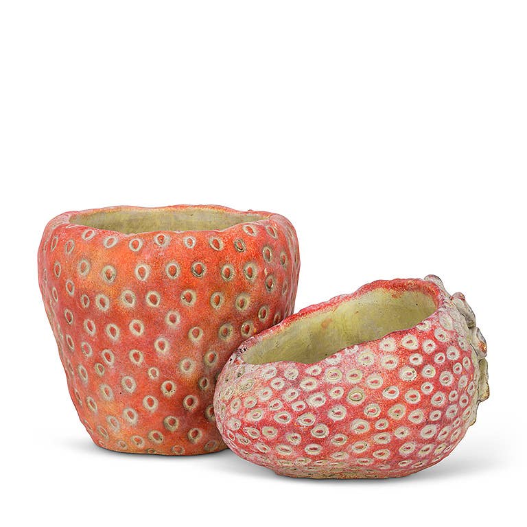 Laying Strawberry Planter