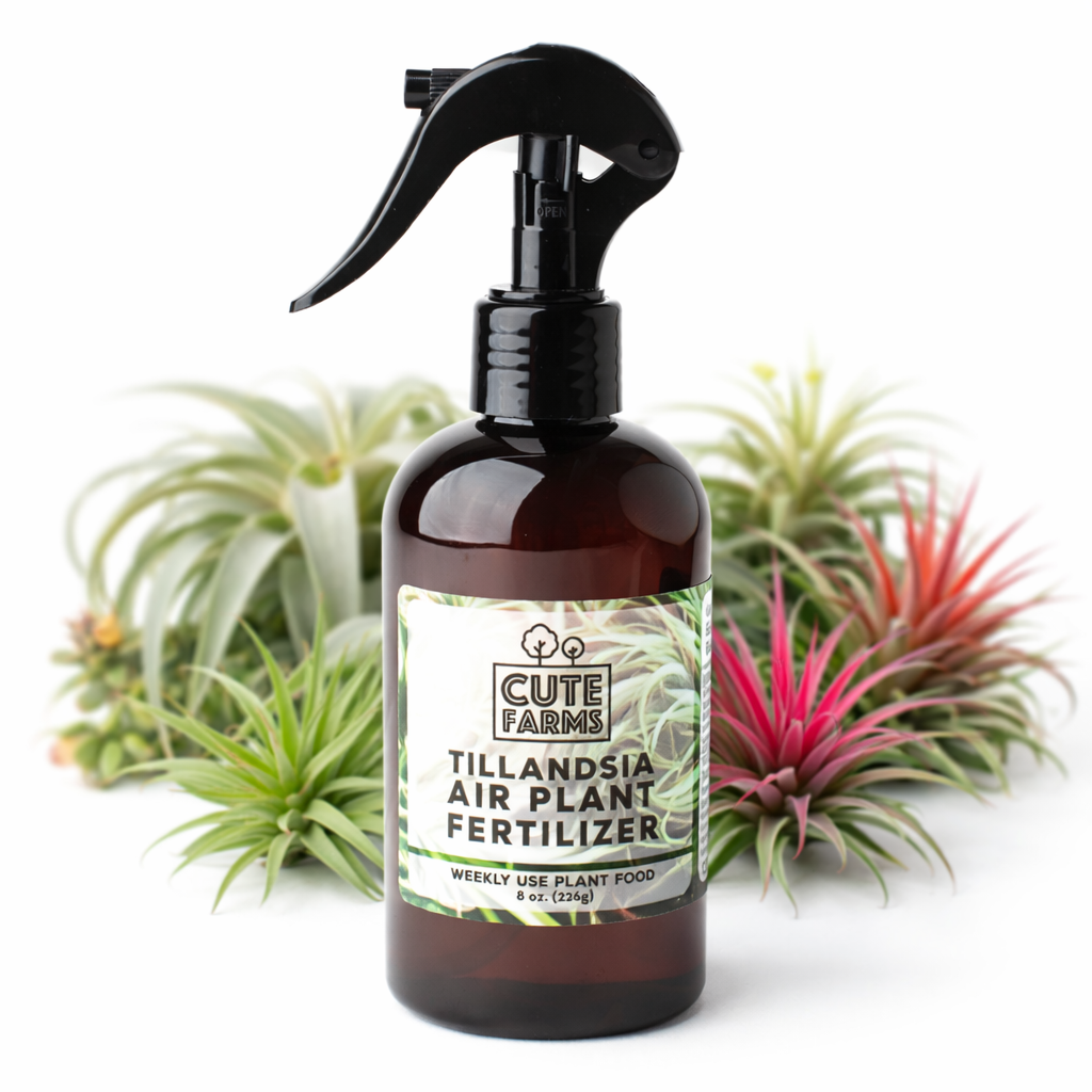 8 oz Tillandsia Air Plant Fertilizer - Gentle Weekly Use