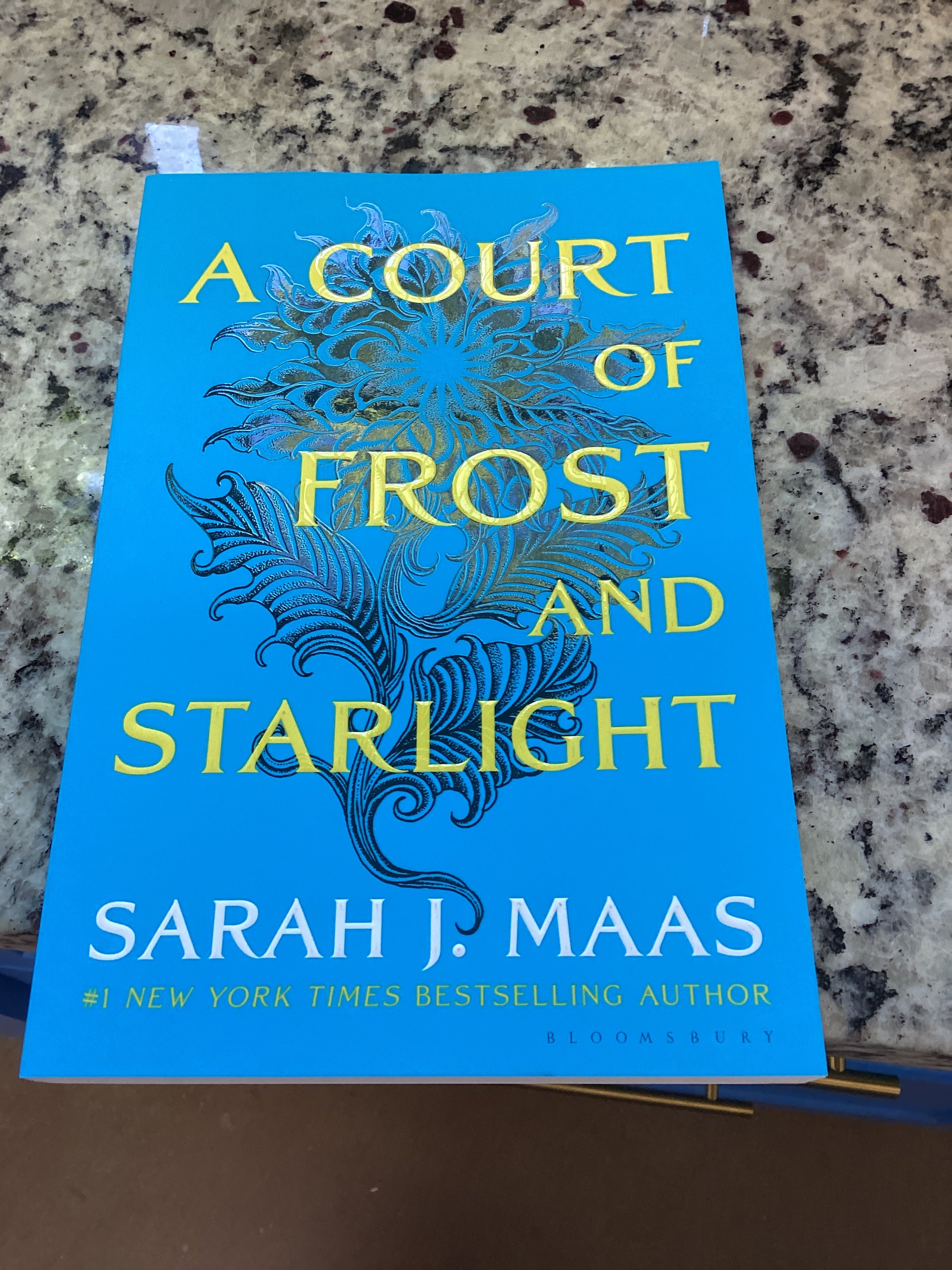 Court of Frost and Starlight