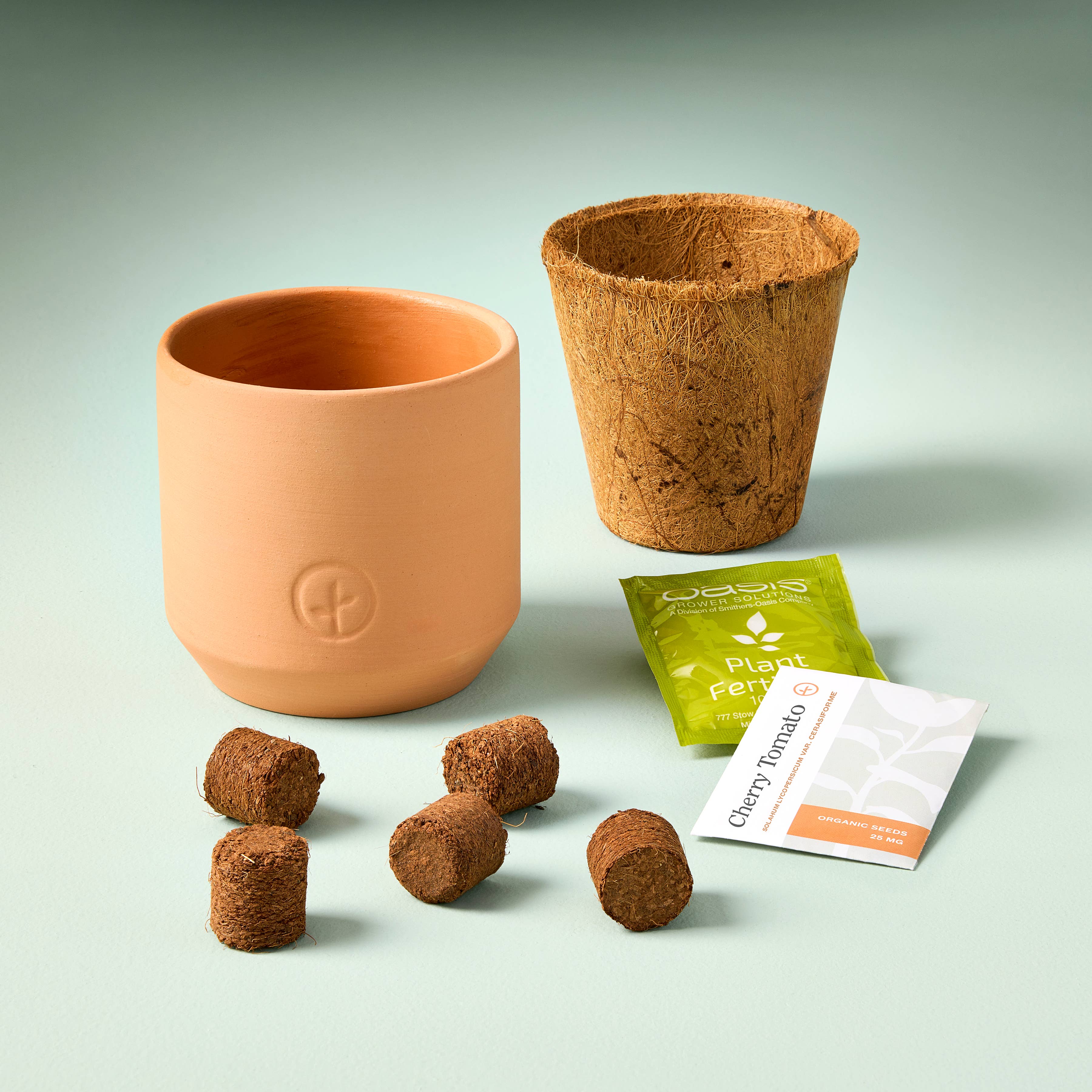 Tiny Terracotta Seed Sprouting Kit