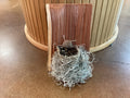 Bird nest planter