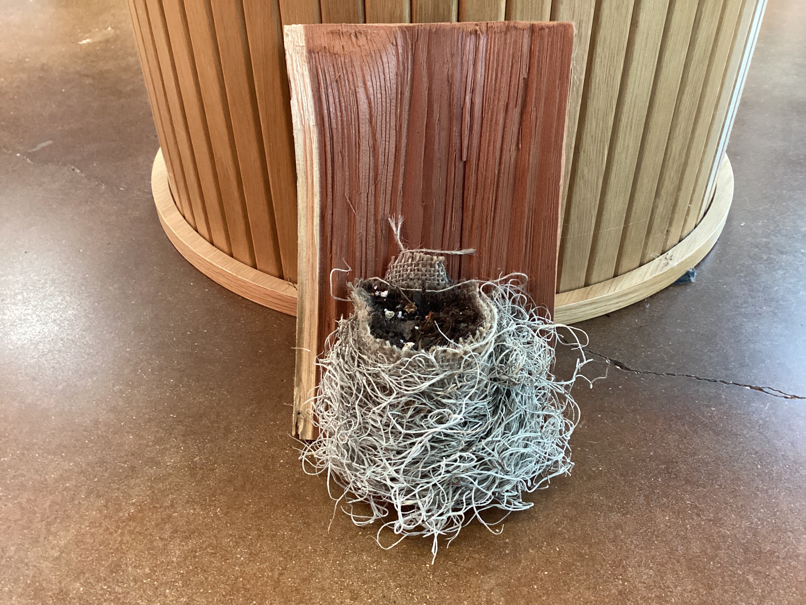 Bird nest planter