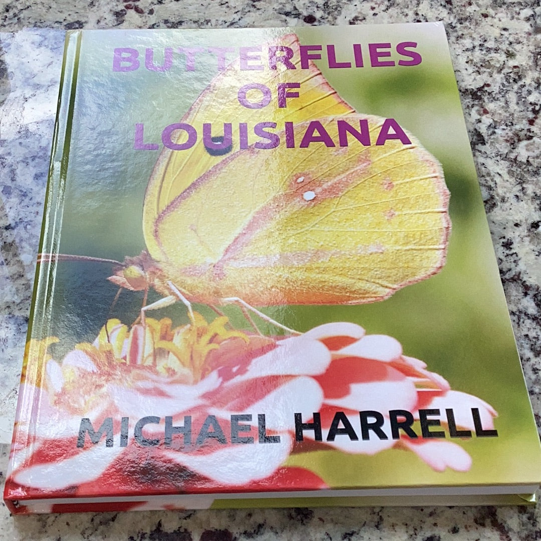 Butterflies of Louisiana