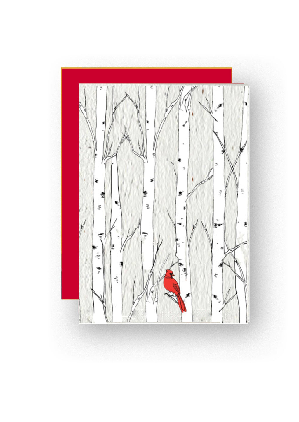 Wildflower Seed Greeting Card