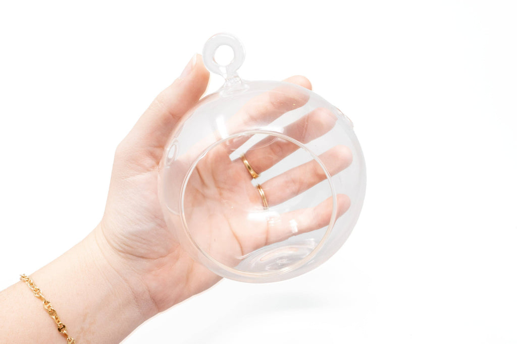 Hanging Flat Bottom Glass Globe Stunning Terrarium Sets