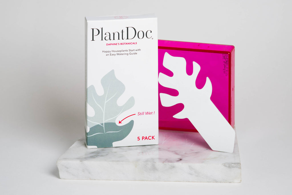 Color-Change Houseplant Water Meter