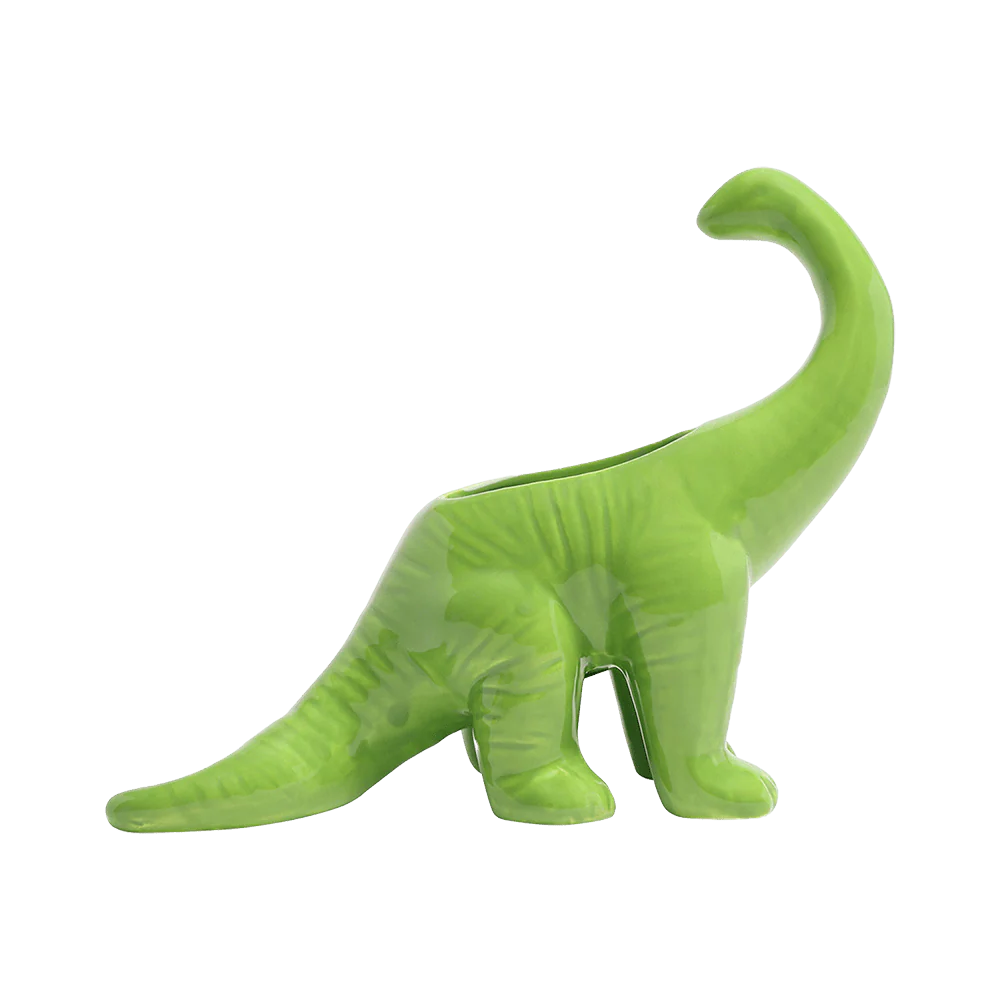 Dinosaur Succulent Planter