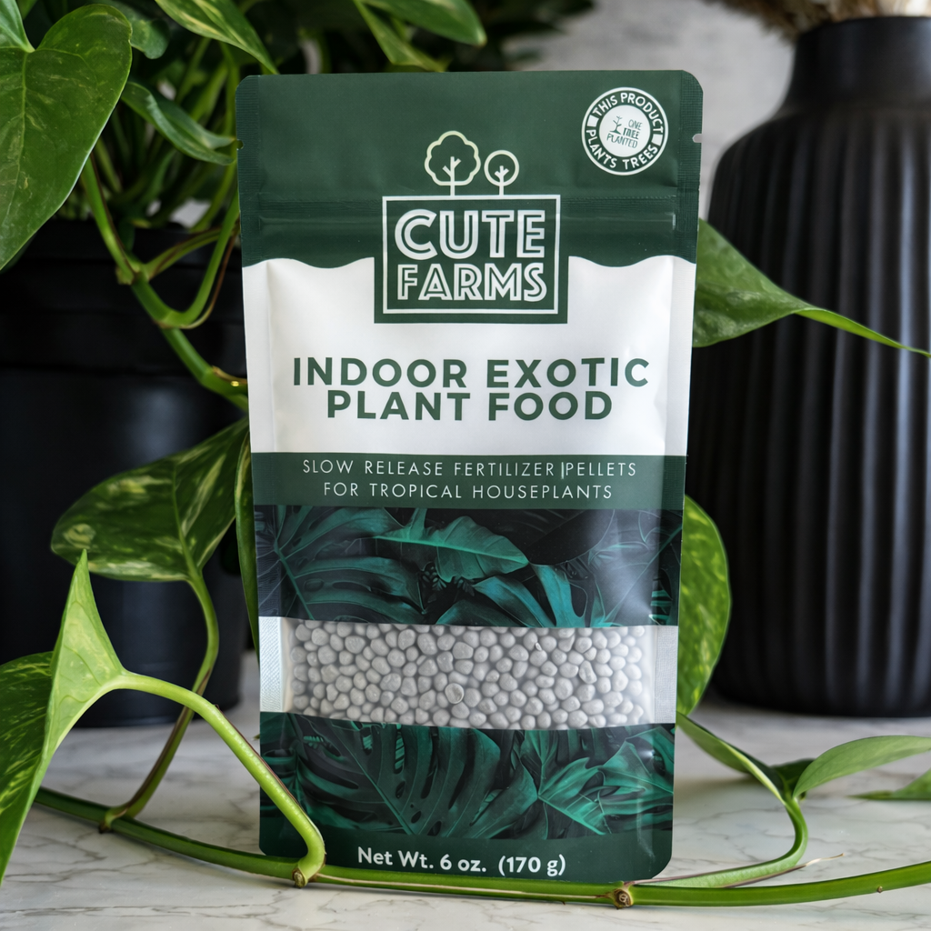 Indoor Exotic Slow Release Plant Food
