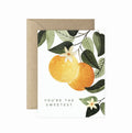 $6 Greeting Cards