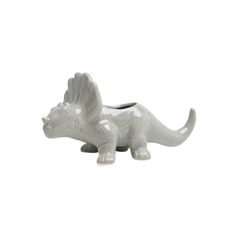 Dinosaur Succulent Planter