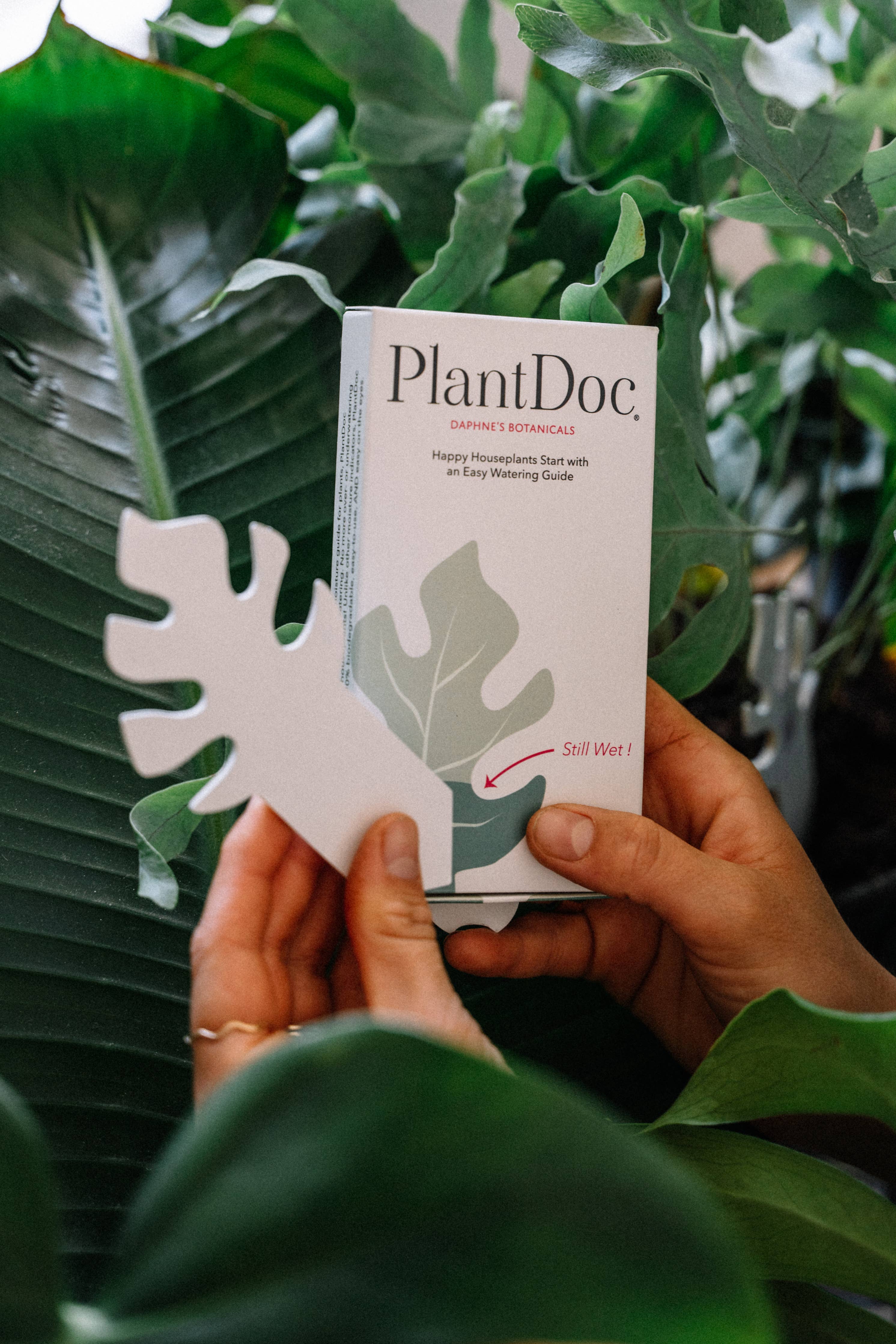 Color-Change Houseplant Water Meter