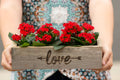 Reclaimed Wood Succulent Love and Arrow Planter