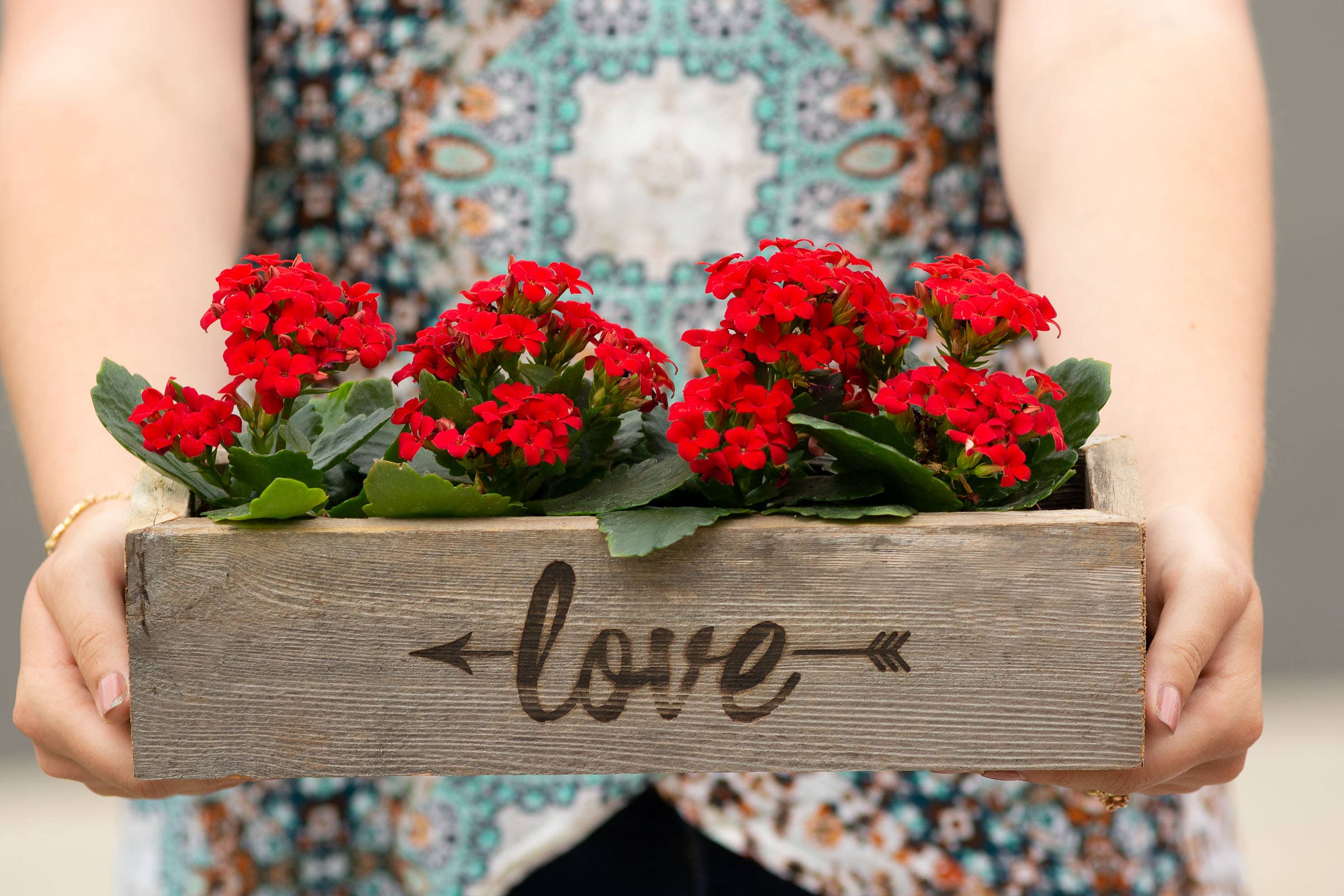 Reclaimed Wood Succulent Love and Arrow Planter